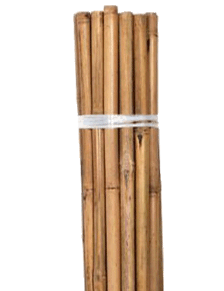 Bamboo Stake 10' & 12' 25 Pack