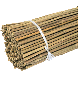 Bamboo Stakes 6' 100 Pack