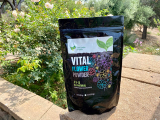 Vital Flower Powder 5lb
