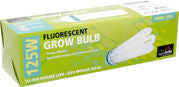 Compact Fluorescent Lamp Cool, 125W, 6500K