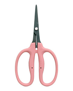 Chikamasa Scissors B500SFP – Straight Stainless Coated PINK
