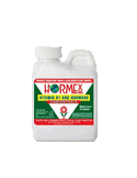SALE Hormex Liquid Concentrate