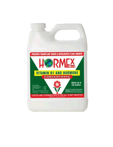 SALE Hormex Liquid Concentrate