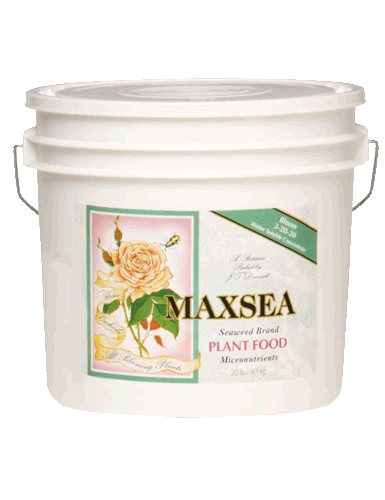 Maxsea® Bloom Plant Food 3 - 20 - 20