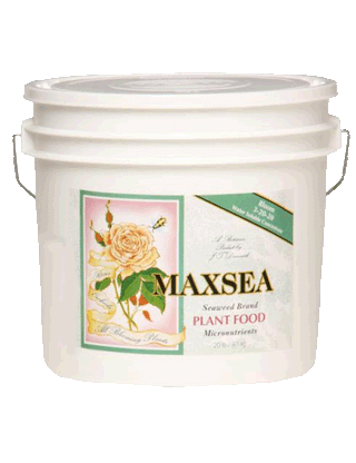 Maxsea® Bloom Plant Food 3 - 20 - 20
