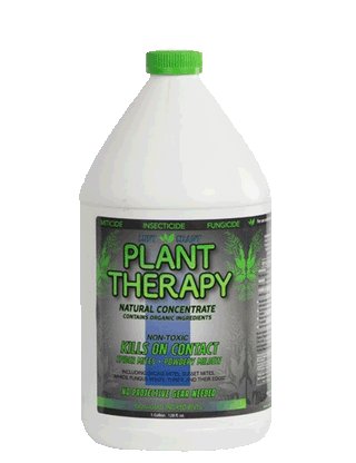 Lost Coast Plant Therapy gallon
