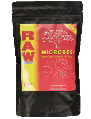 RAW MICROBES Bloom Stage