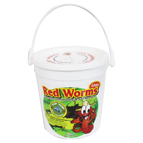 Red Worms 200 Count Pail Tip Top