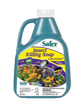 Safer Insect Killing Soap Concentrate
